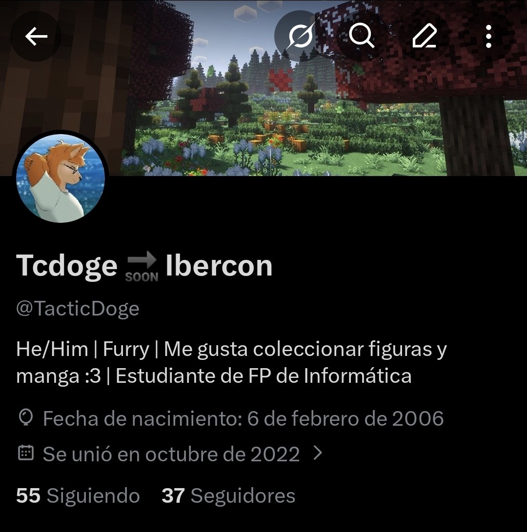 Tcdoge 🔜 Ibercon tweet media