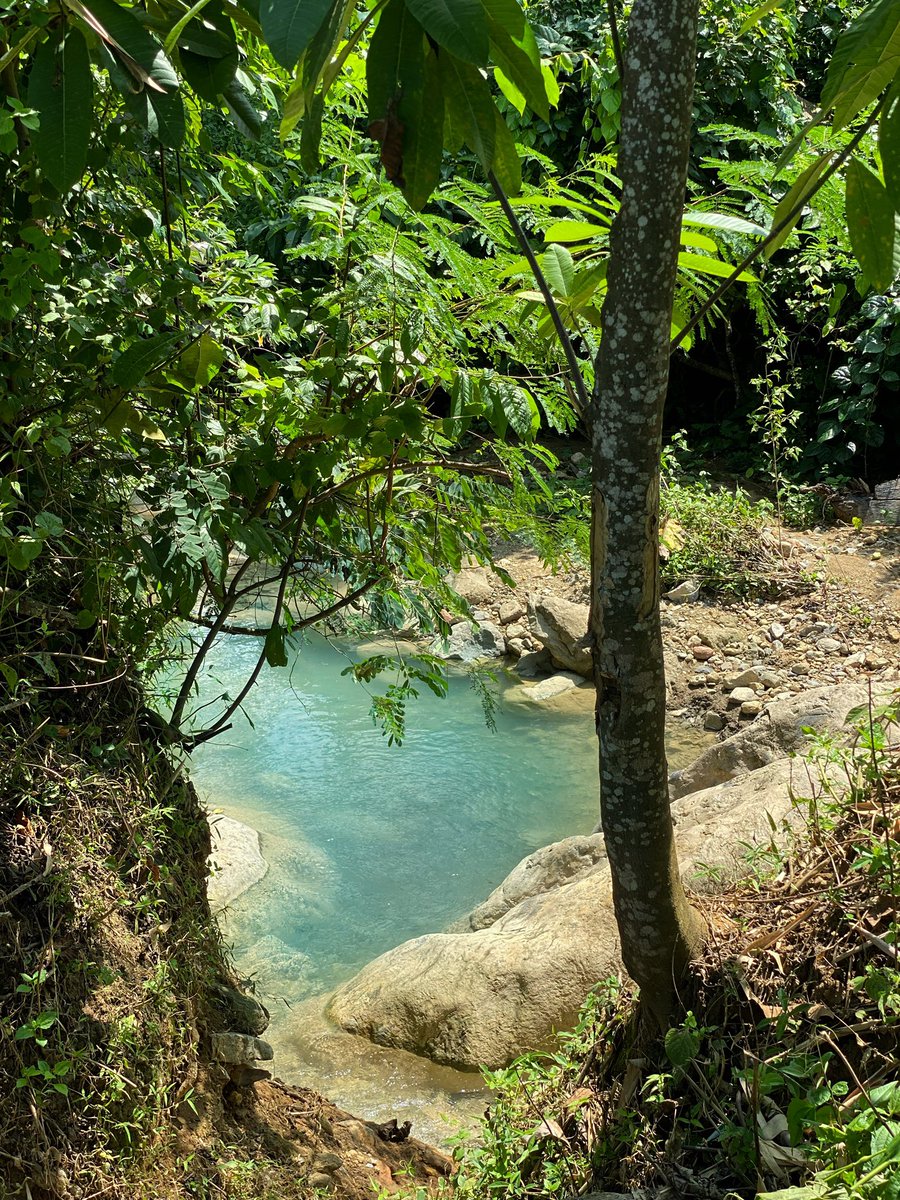 Deo-Maringa L.D.Garaha tweet media