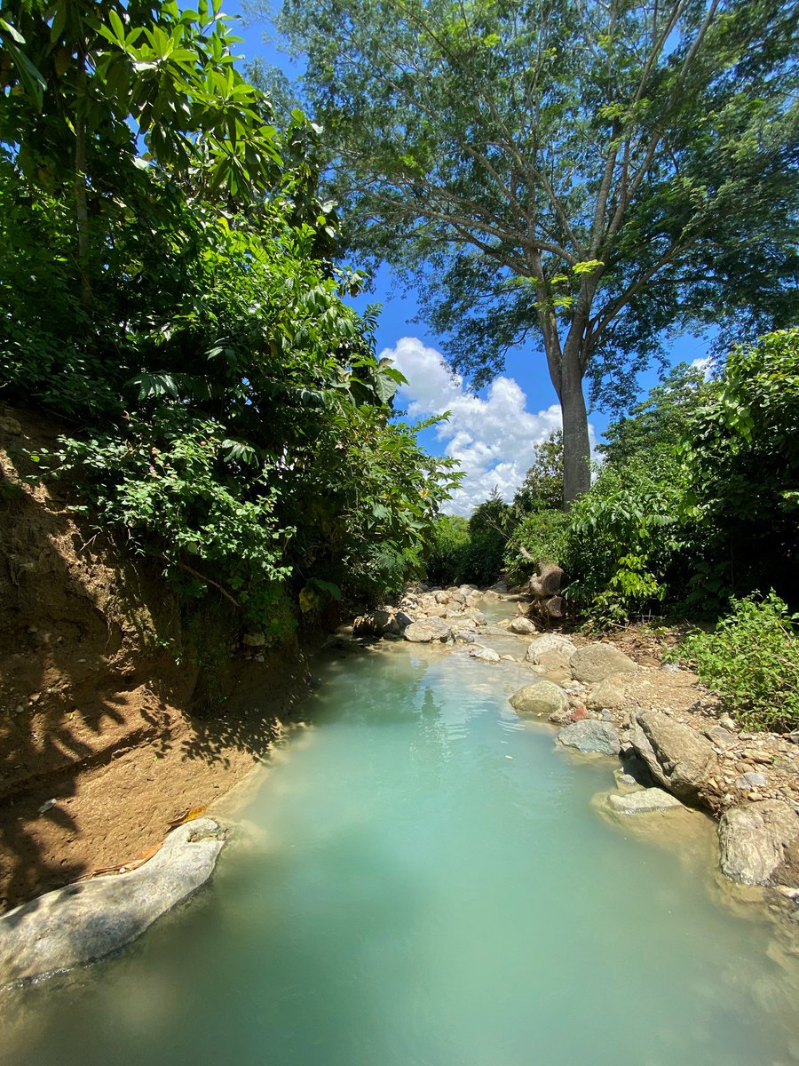 Deo-Maringa L.D.Garaha tweet media