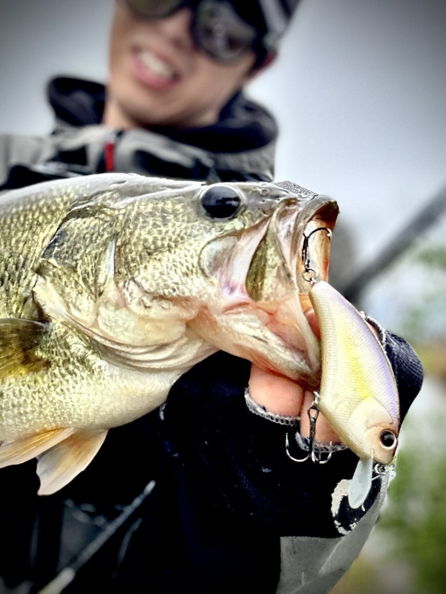 波呂 魁人 tweet media