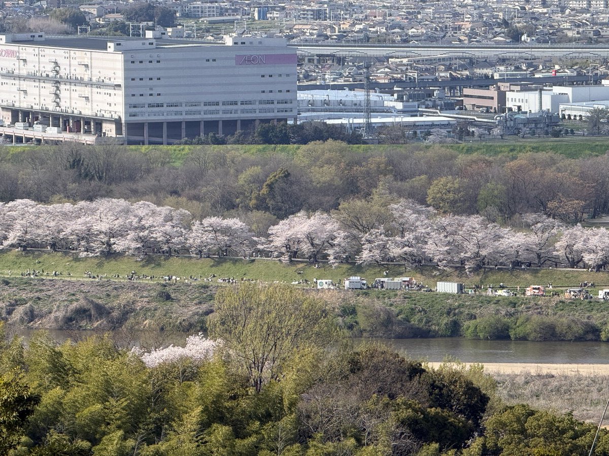 じゅん🎀 tweet media