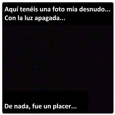 Alfonso F. S. tweet media