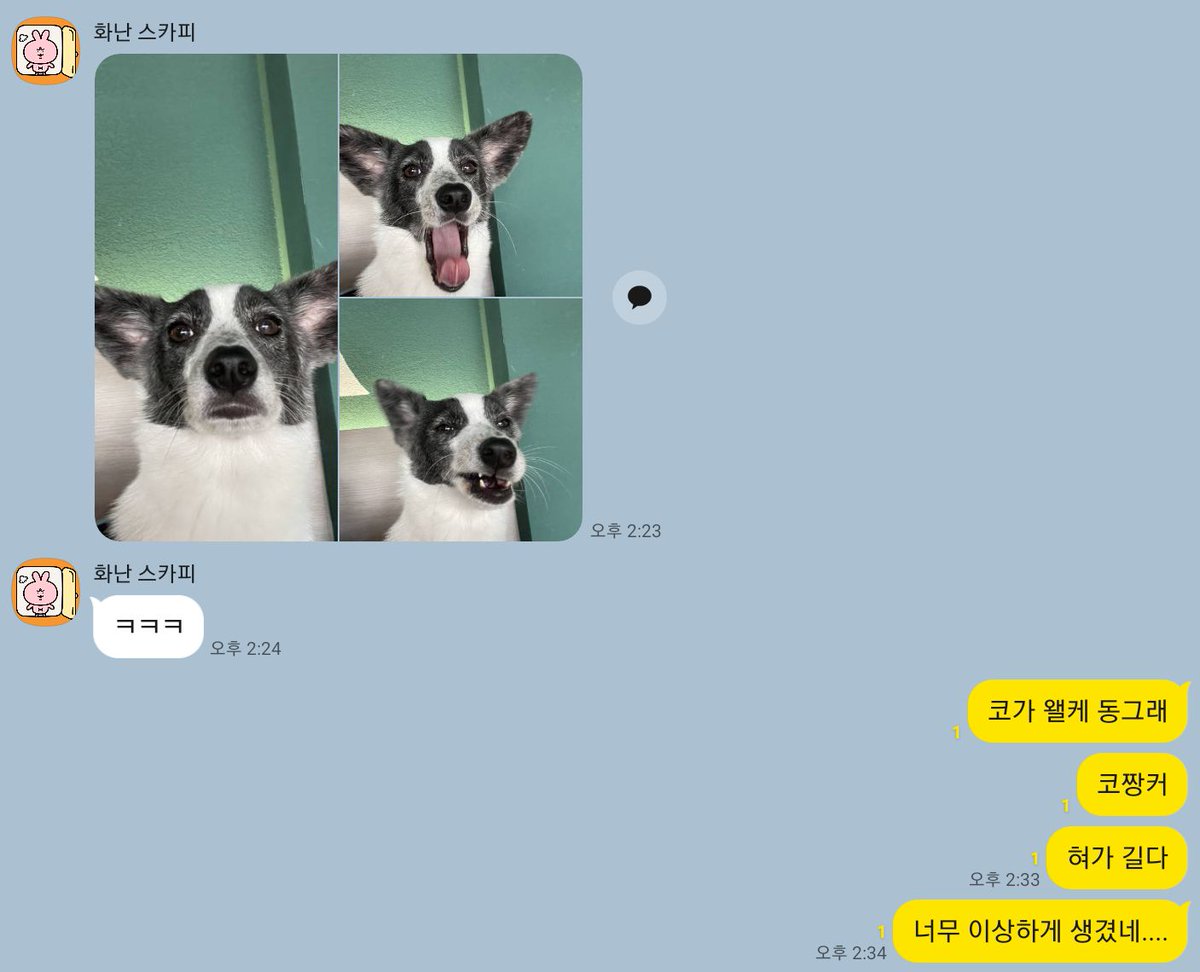 수업 중 문득 날아온 한 통의 엽서...🖼