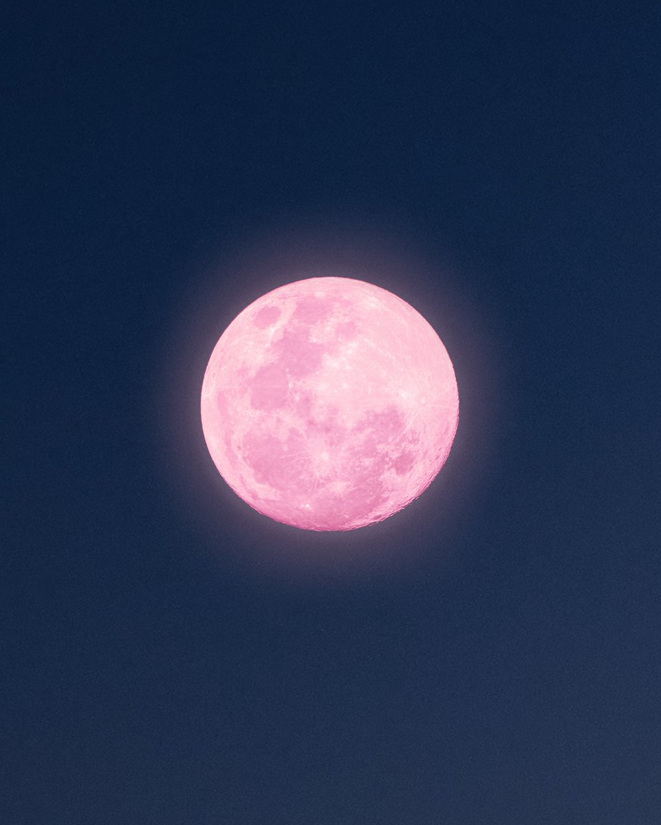 MOON tweet media