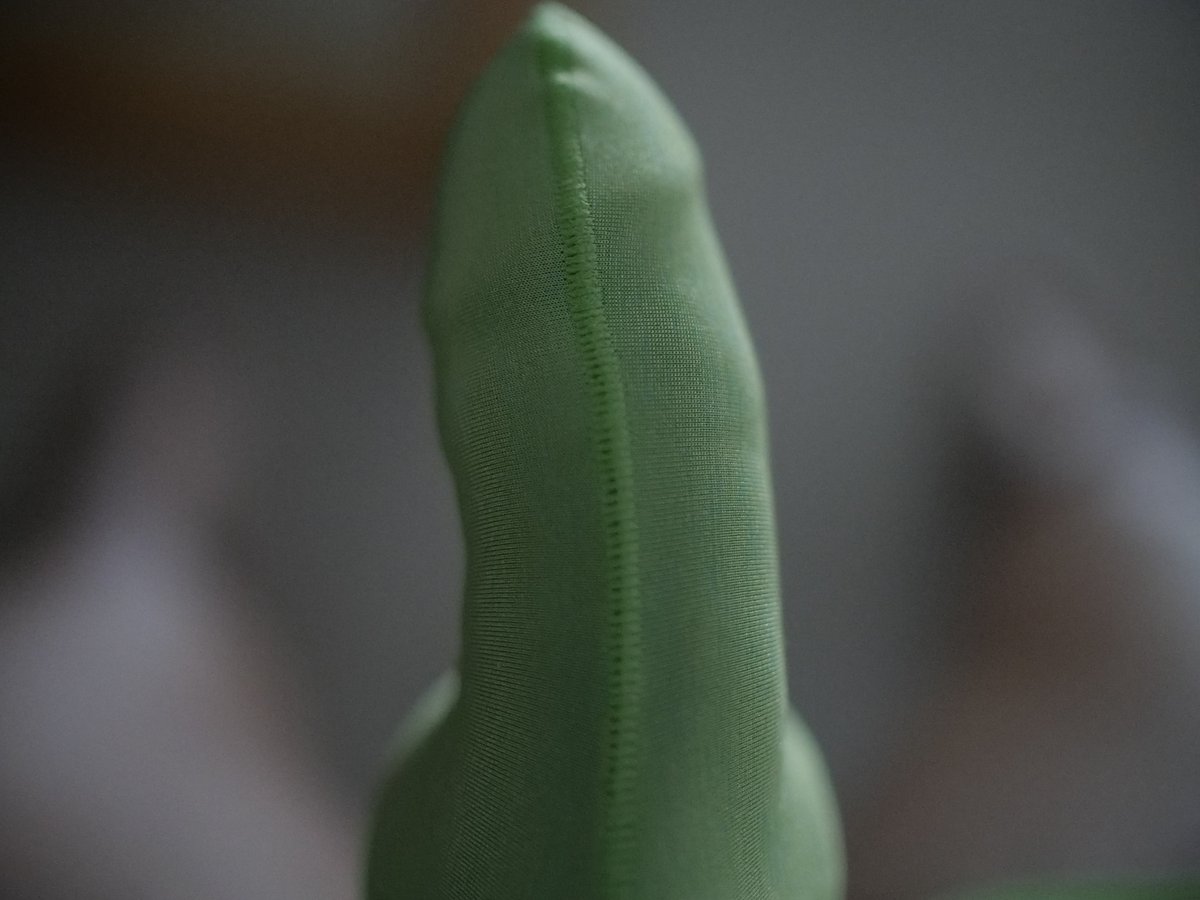 Pam Trip tweet media