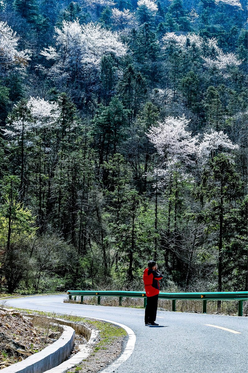 HelloHubei tweet media