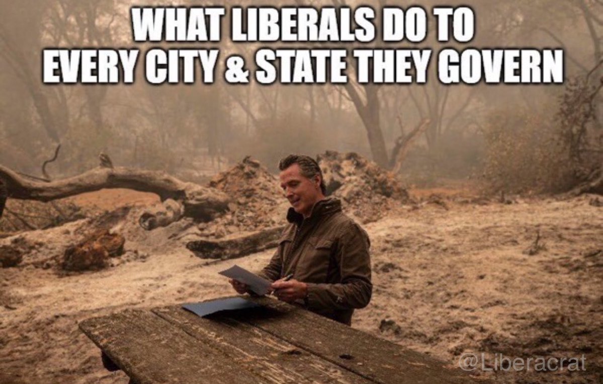 d gal 🇺🇸 tweet media