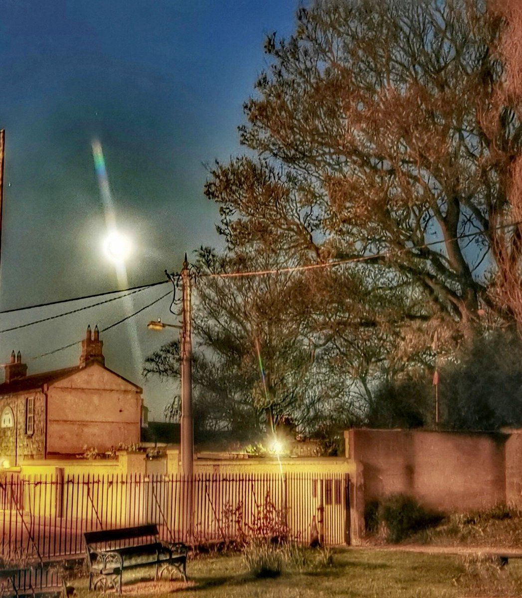 Brenda Malloy 🇮🇪🇵🇸🎶🎶🎶 tweet media