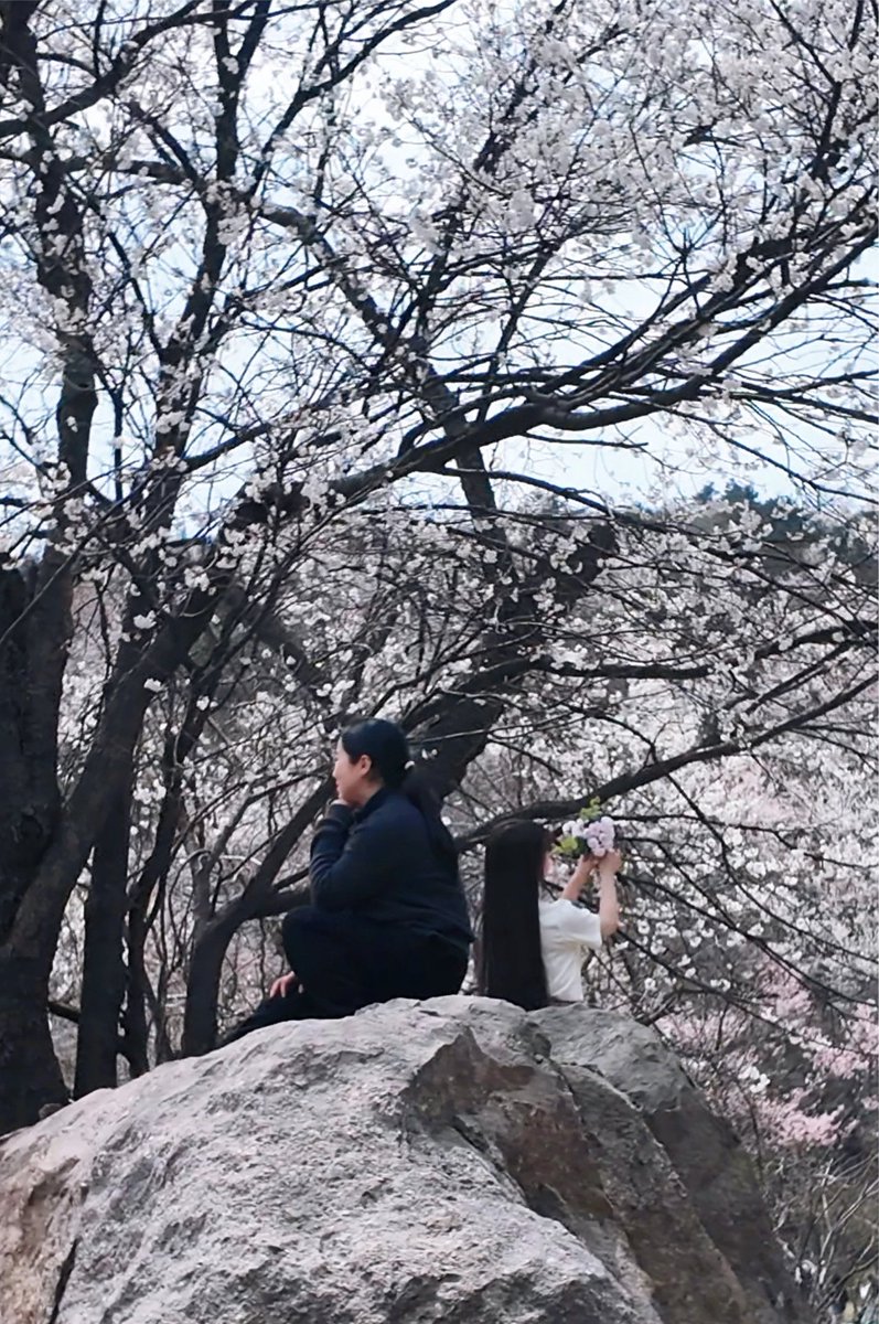 HelloHubei tweet media