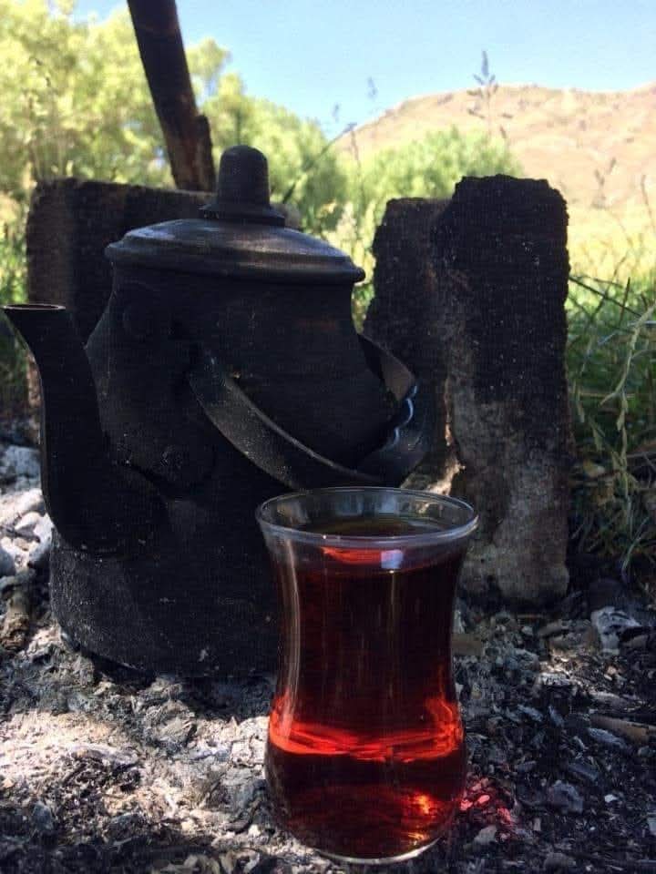 Nidayi Sevim tweet media