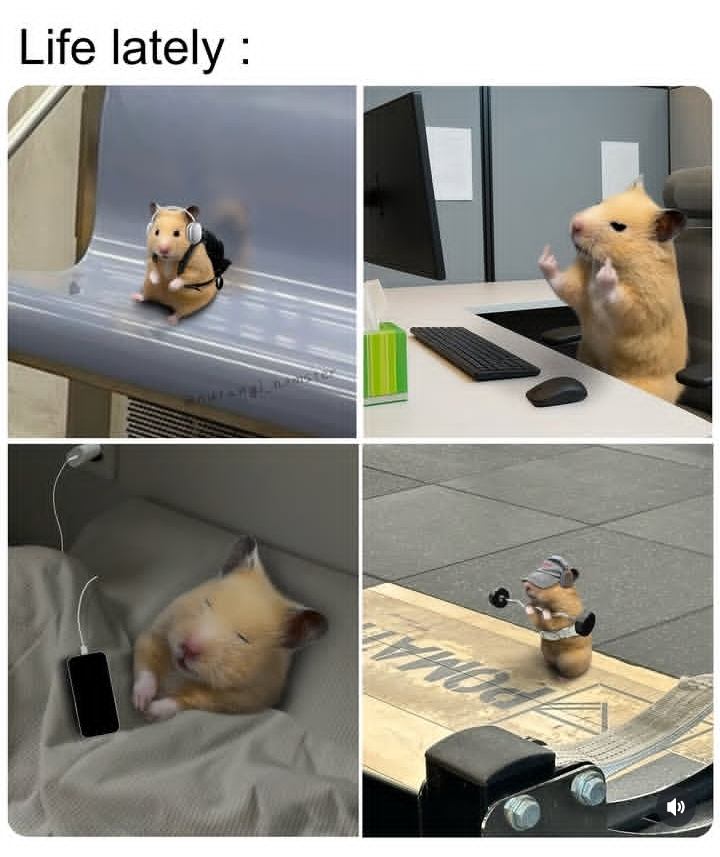 Ayomide • UI Designer tweet media