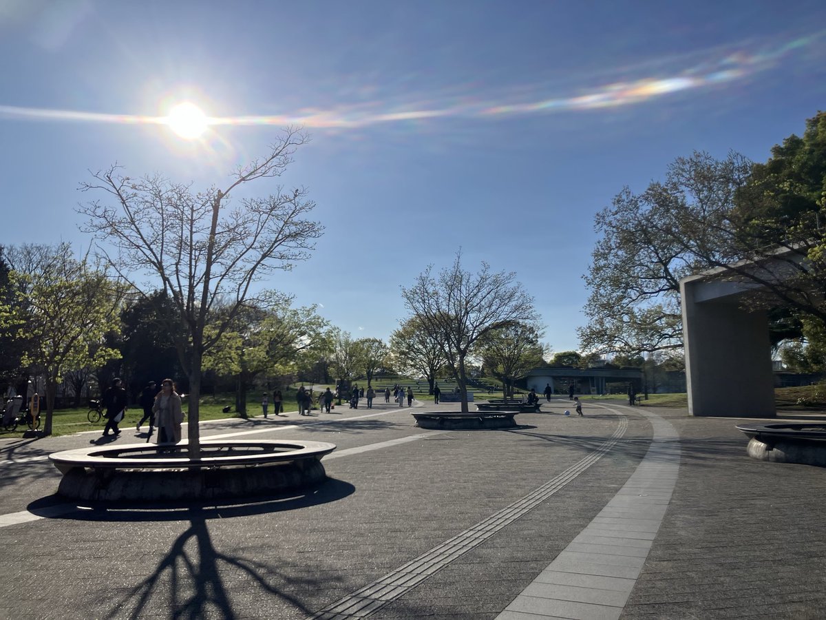 ばばまさみ tweet media