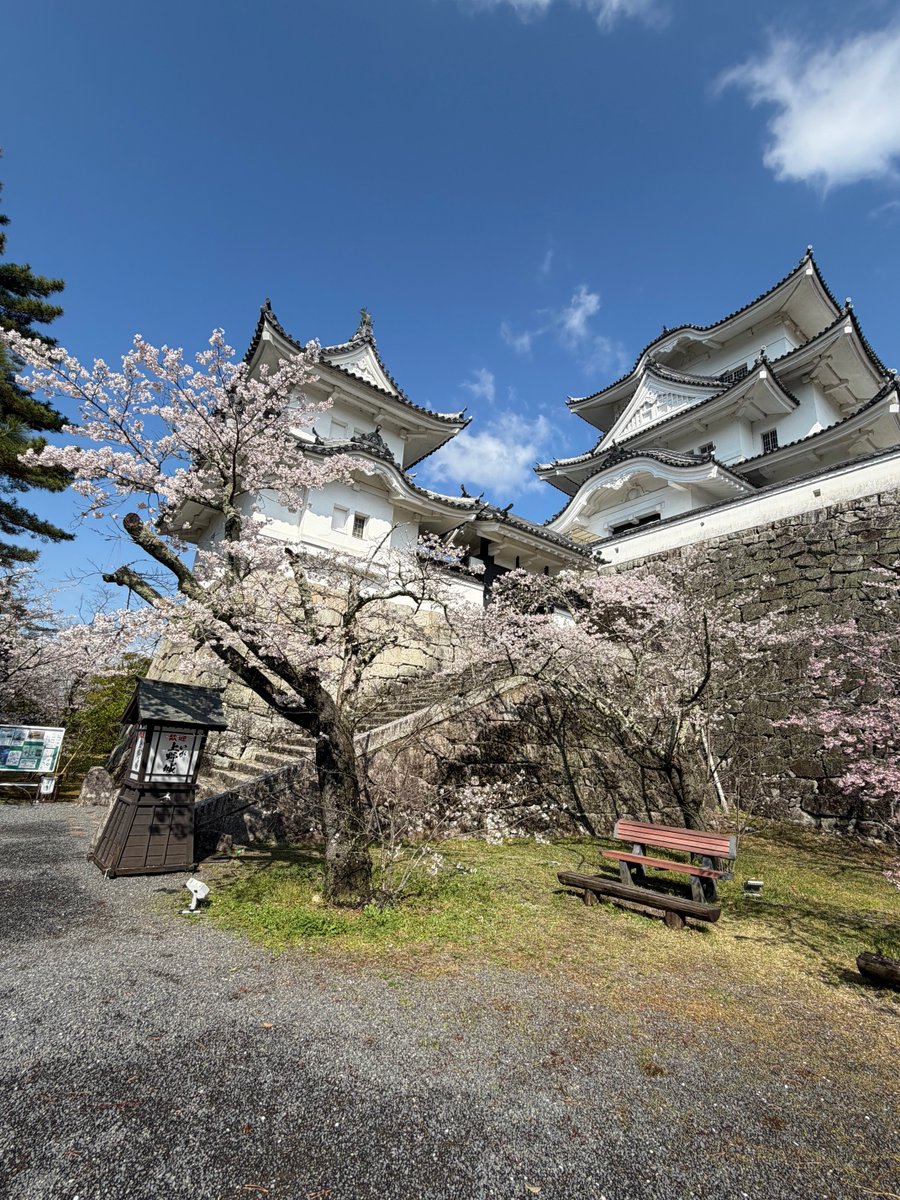 Erwin Vollmann🎗 tweet media