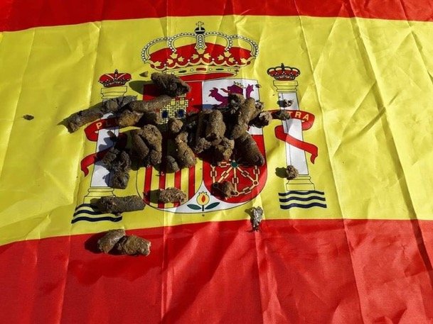 Xavier Rius tweet media