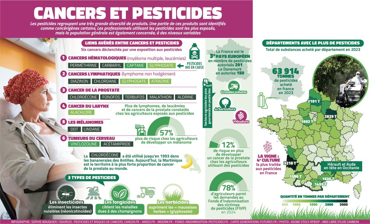 Sophie Wauquier tweet media