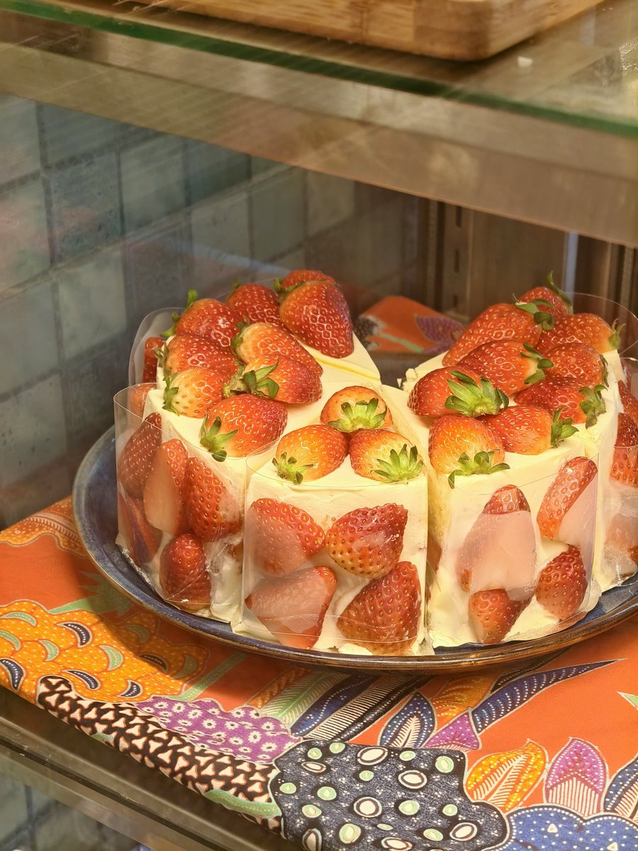 𝐏𝐋𝐔𝐓𝐎 🪐🛰️ tweet media