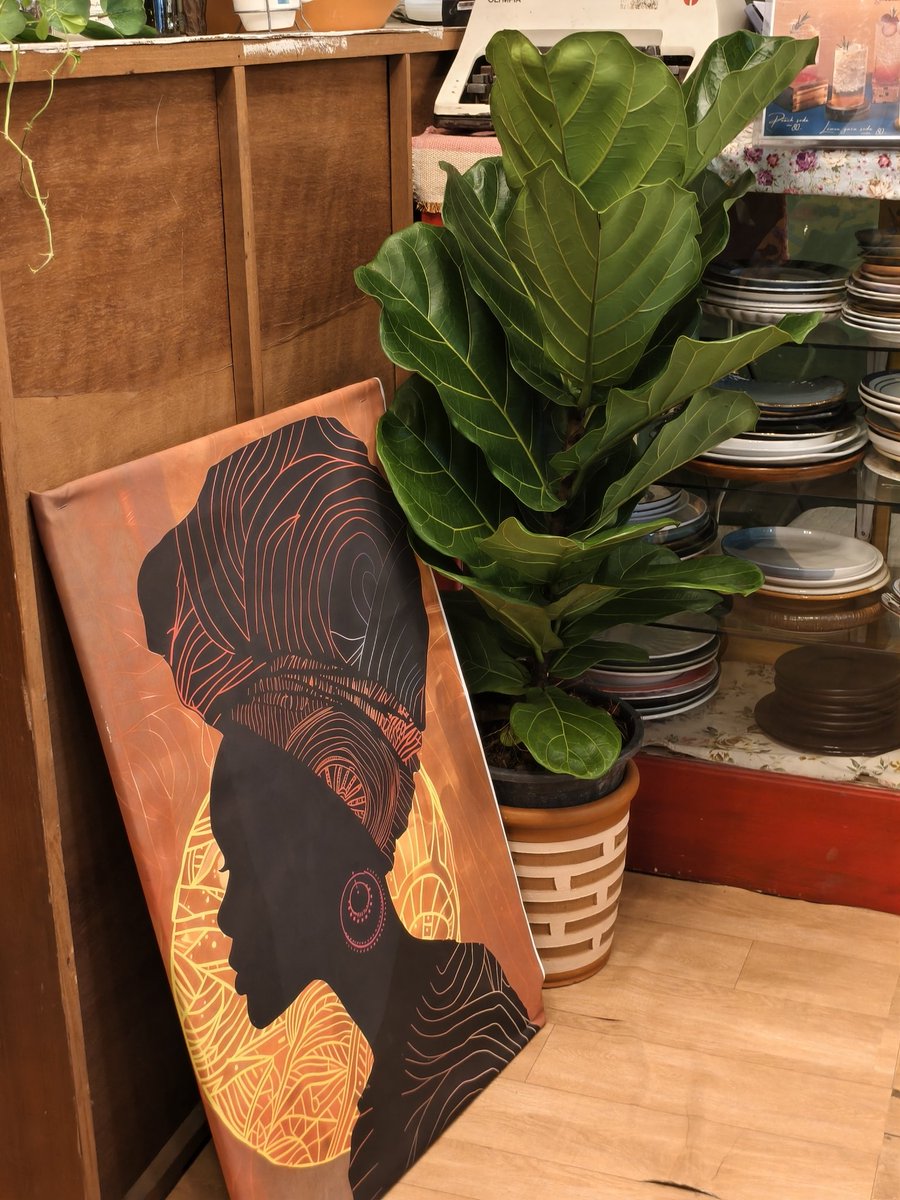 𝐏𝐋𝐔𝐓𝐎 🪐🛰️ tweet media