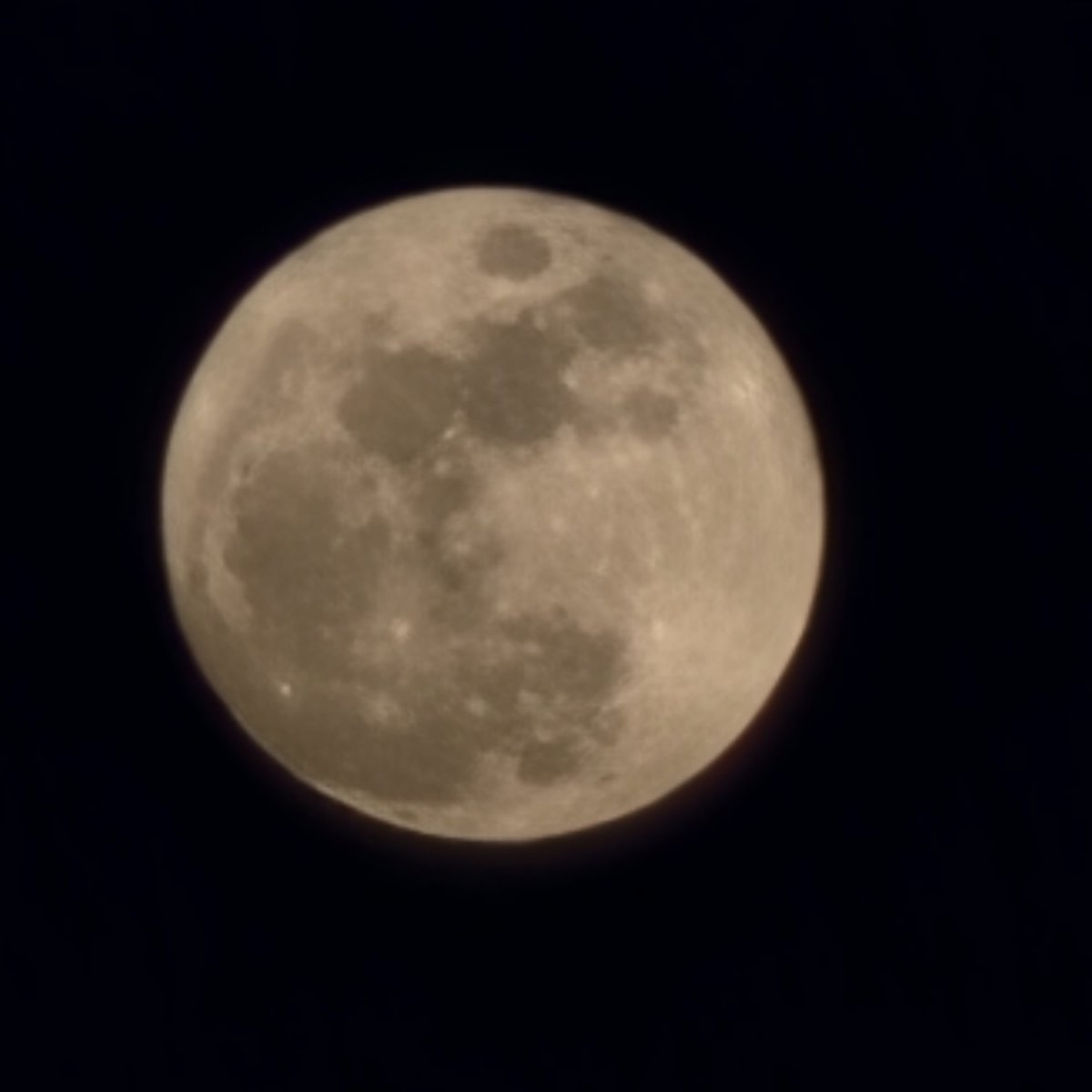 𝕄𝕁𝕠𝔻𝕄🦁☘️ tweet media