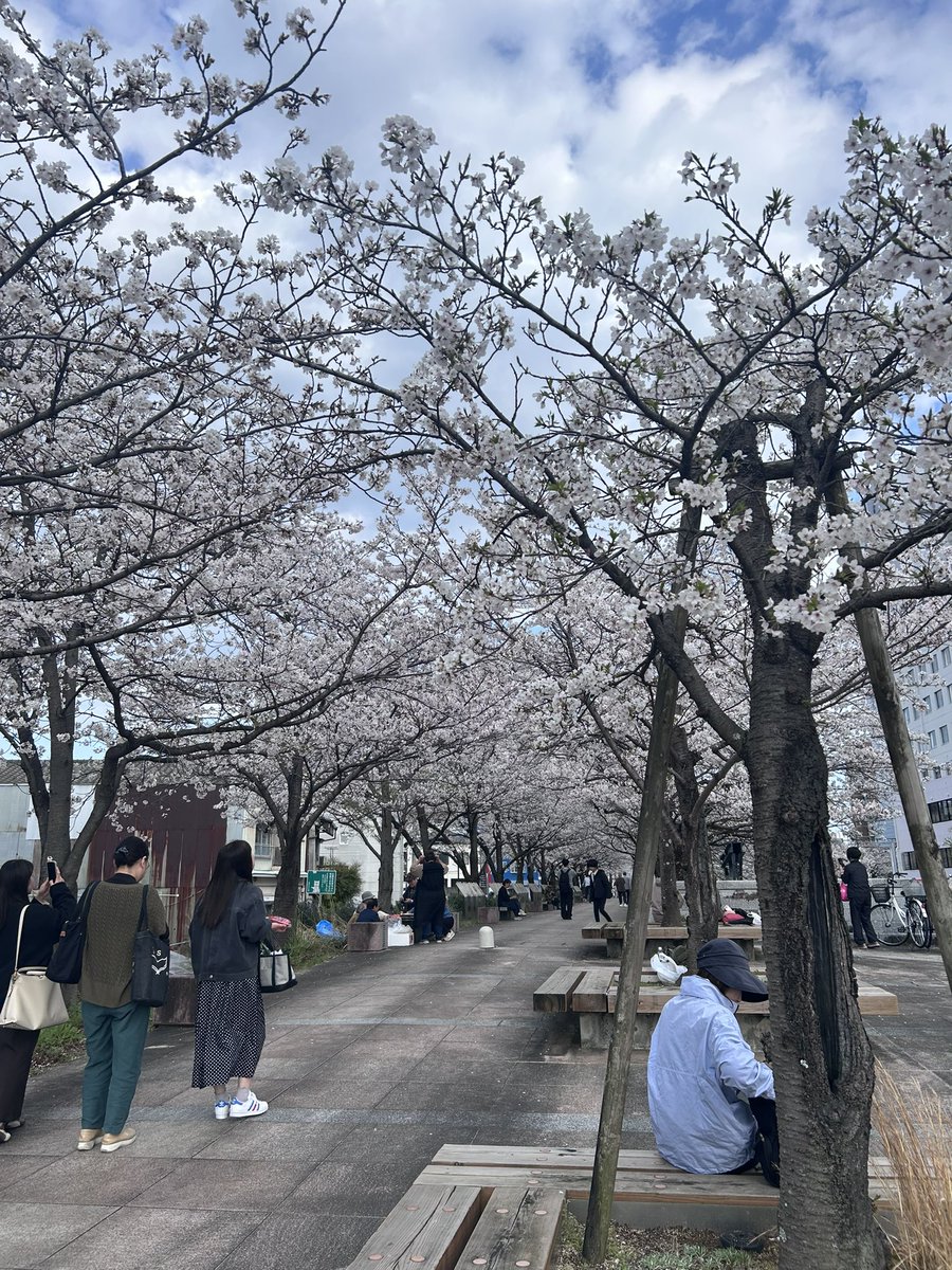 来栖@予定は未定 tweet media