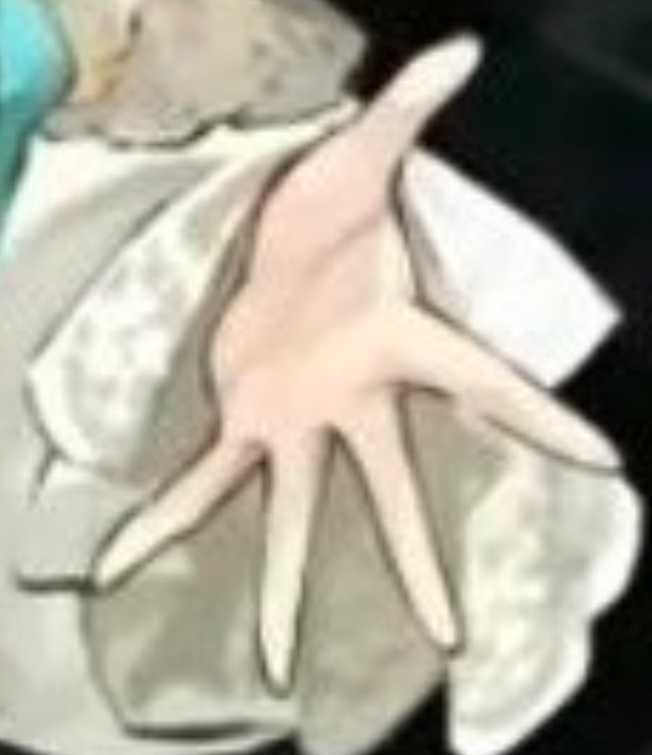 Dya / Ham (Himejoshing out) tweet media