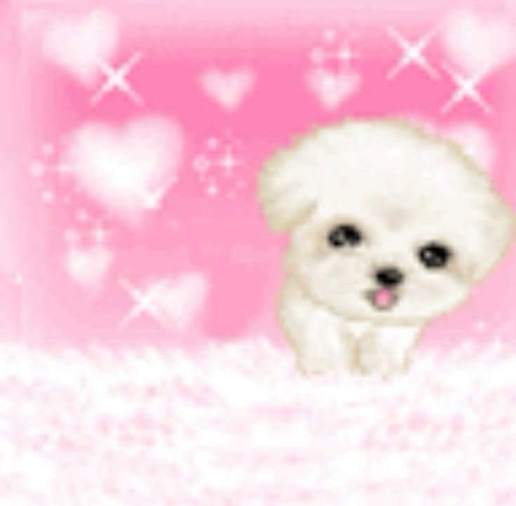 주무리 tweet media