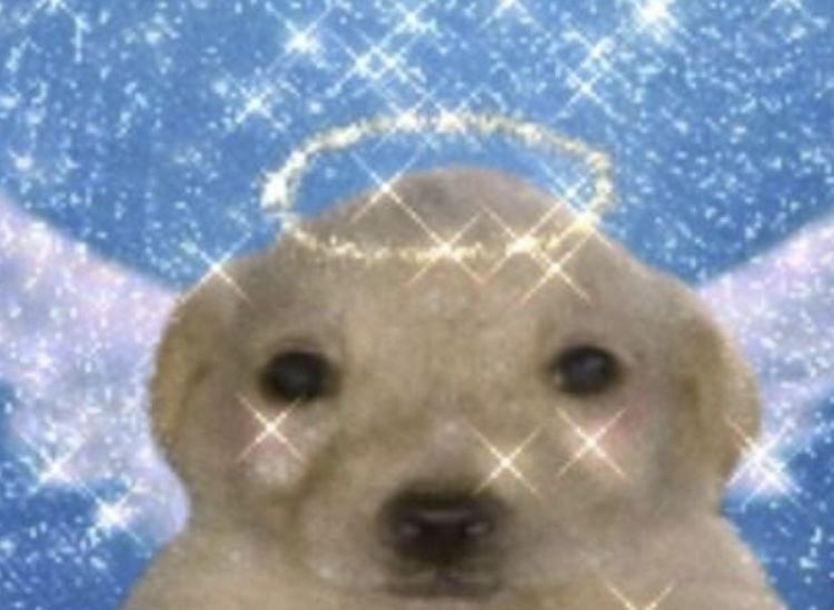 주무리 tweet media