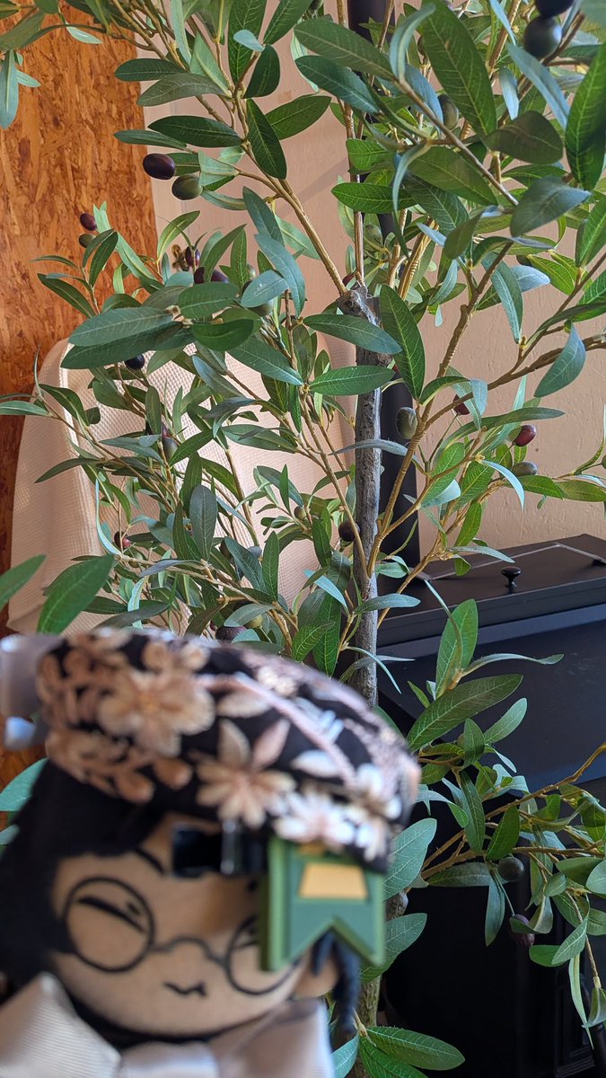 加村丸@走り回る点P(5/5不参加😭) tweet media