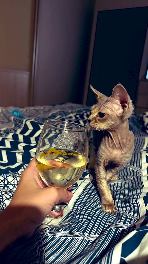 похер, танцуйте tweet media