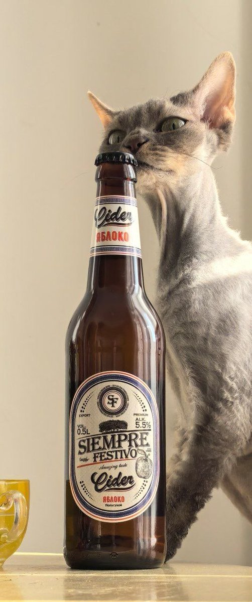 похер, танцуйте tweet media