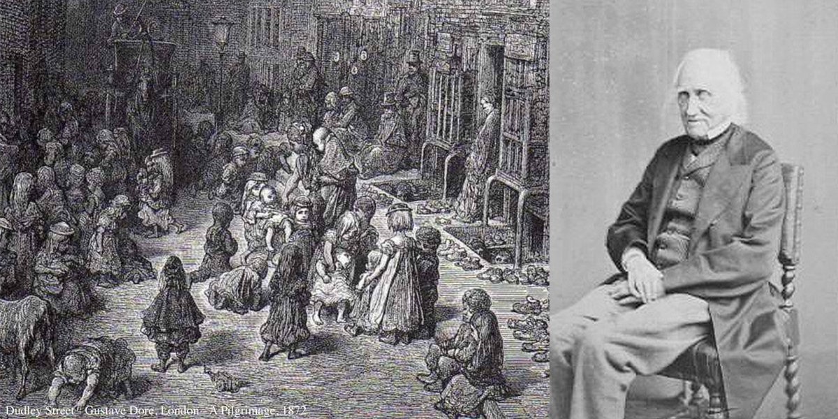 Seven Dials Trust tweet media