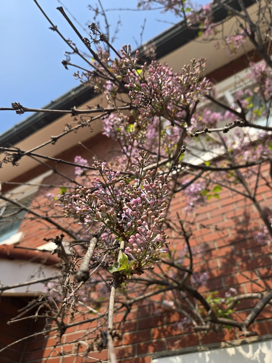 KIMHYUNJOONG (@khj_heneciatwt) on Twitter photo 