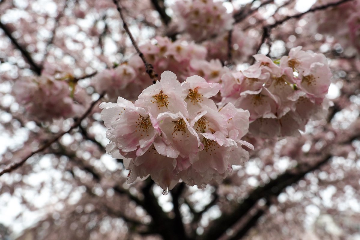 Skykid🍁 tweet media