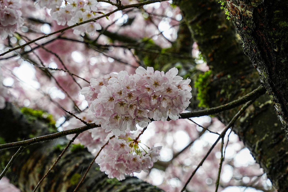 Skykid🍁 tweet media