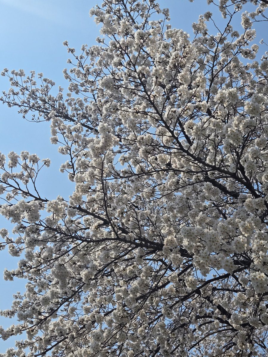 KIMHYUNJOONG (@khj_heneciatwt) on Twitter photo 