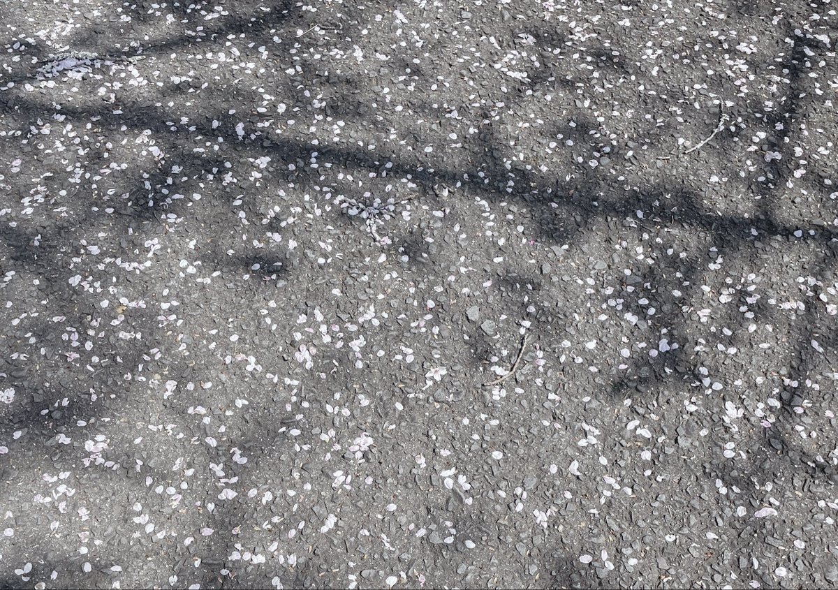 菓子パン食べないで tweet media