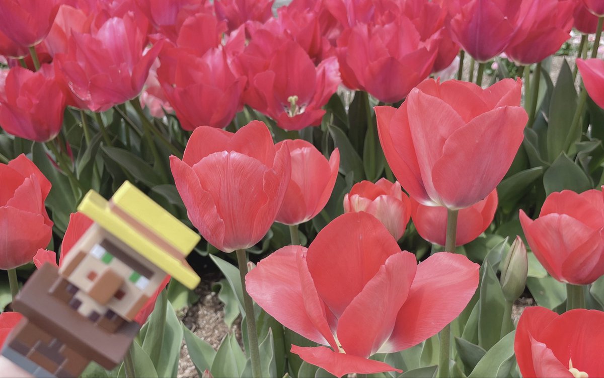 菓子パン食べないで tweet media