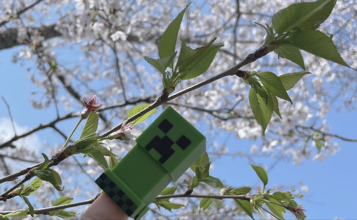 菓子パン食べないで tweet media