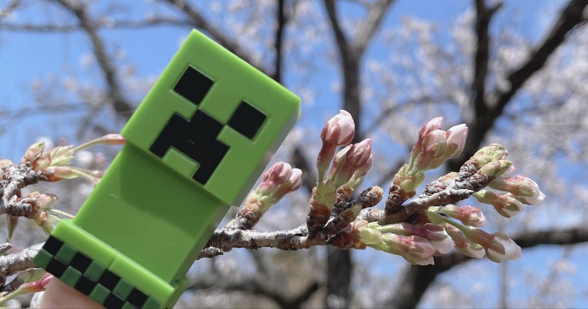 菓子パン食べないで tweet media