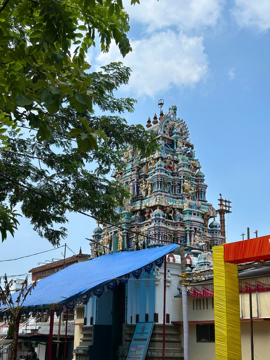 Gowri🌸 tweet media