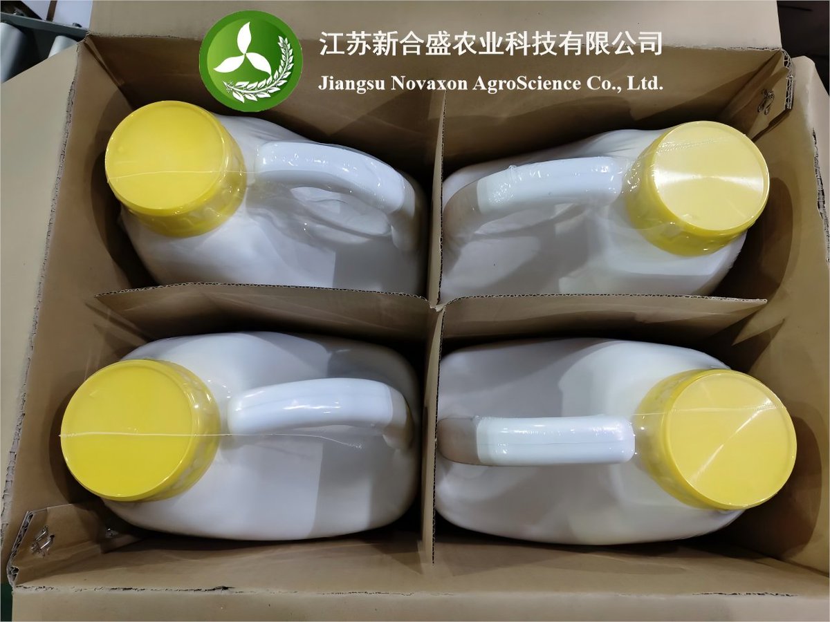 NovaxonAgro's tweet photo. 【NovaxonAgro·Product】
· Customization
Insecticide SC🐛
480g/L Thiacloprid
Packed in 5L drum.
Destination: Eastern Europe (Ukraine)
Please feel free to contact us if you you have any requirements.
#pesticides #agroscience #agriculture #foreigntrade #factory #NovaxonAgro https://t.co/IwCA1Onlpz