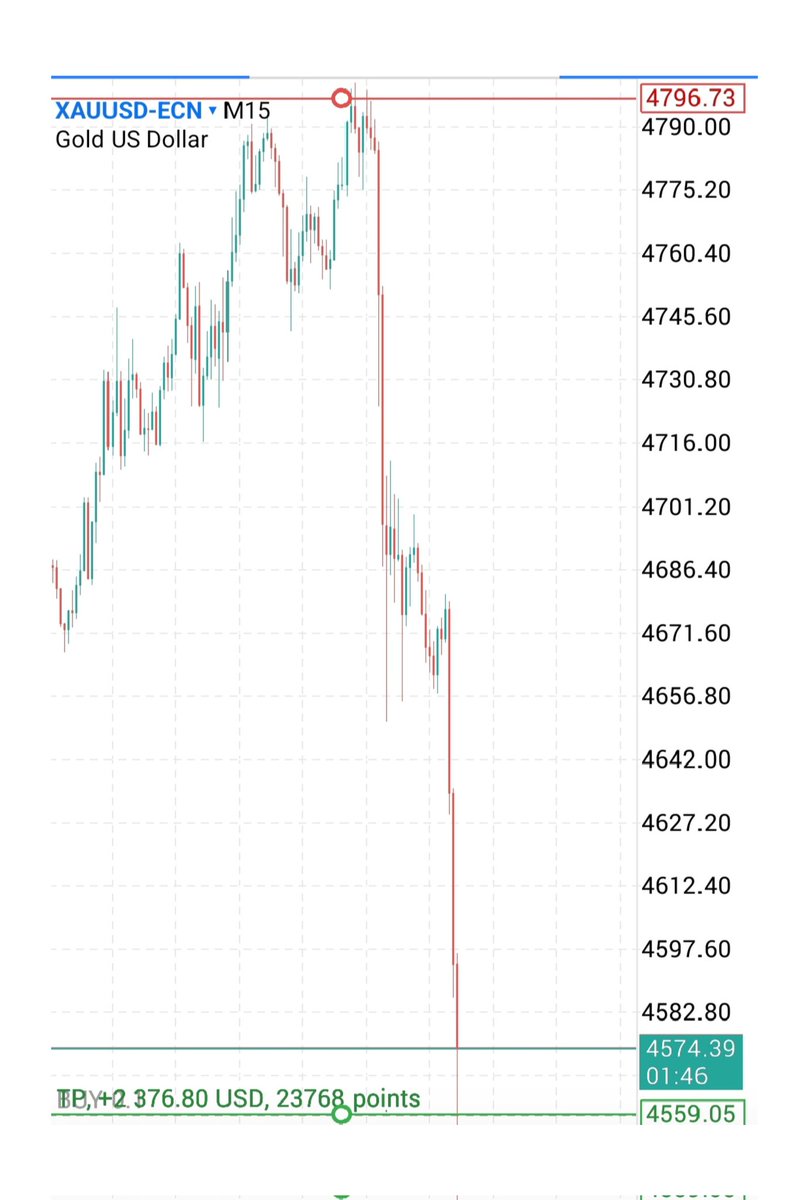 lady trader tweet media