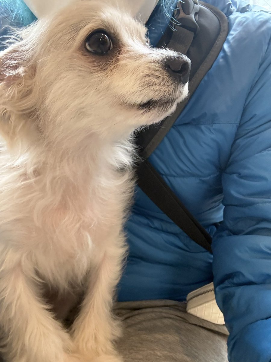 Live Space マリールー tweet media