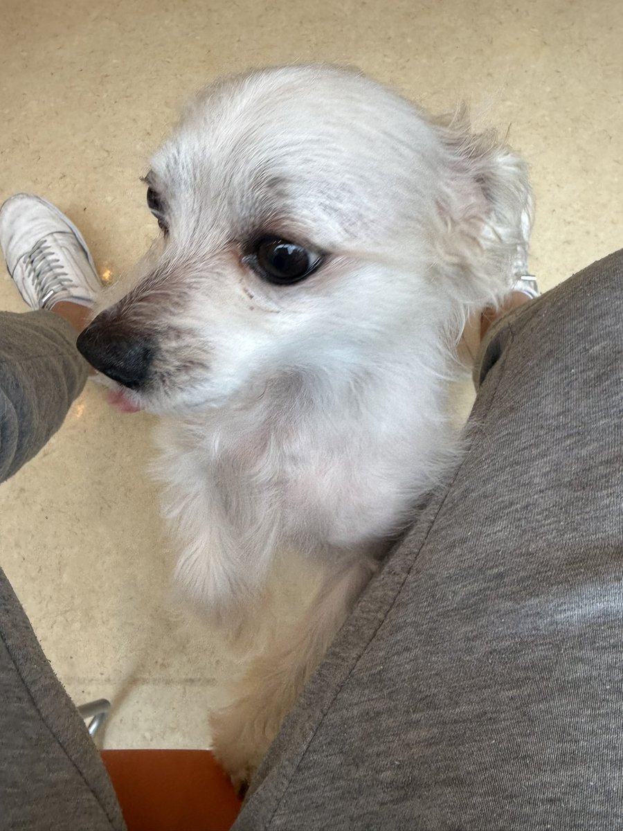 Live Space マリールー tweet media