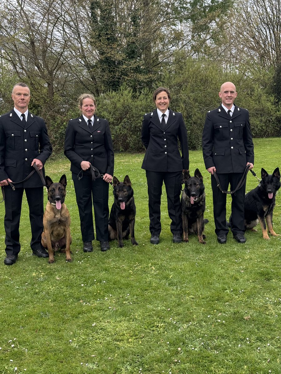 DC_Police Dogs ( Puppy Development Program) tweet media