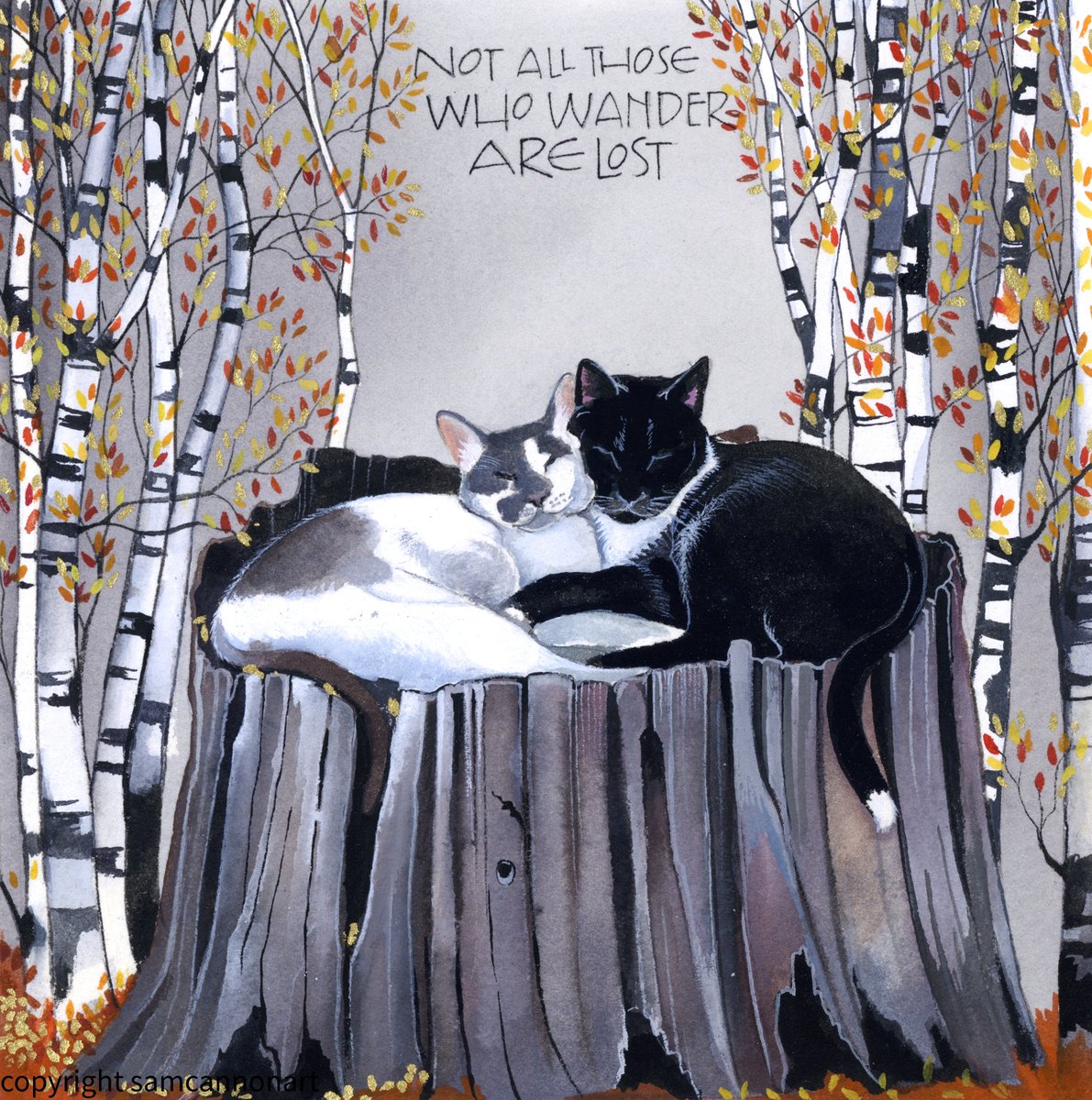 Sam Cannon Art tweet media