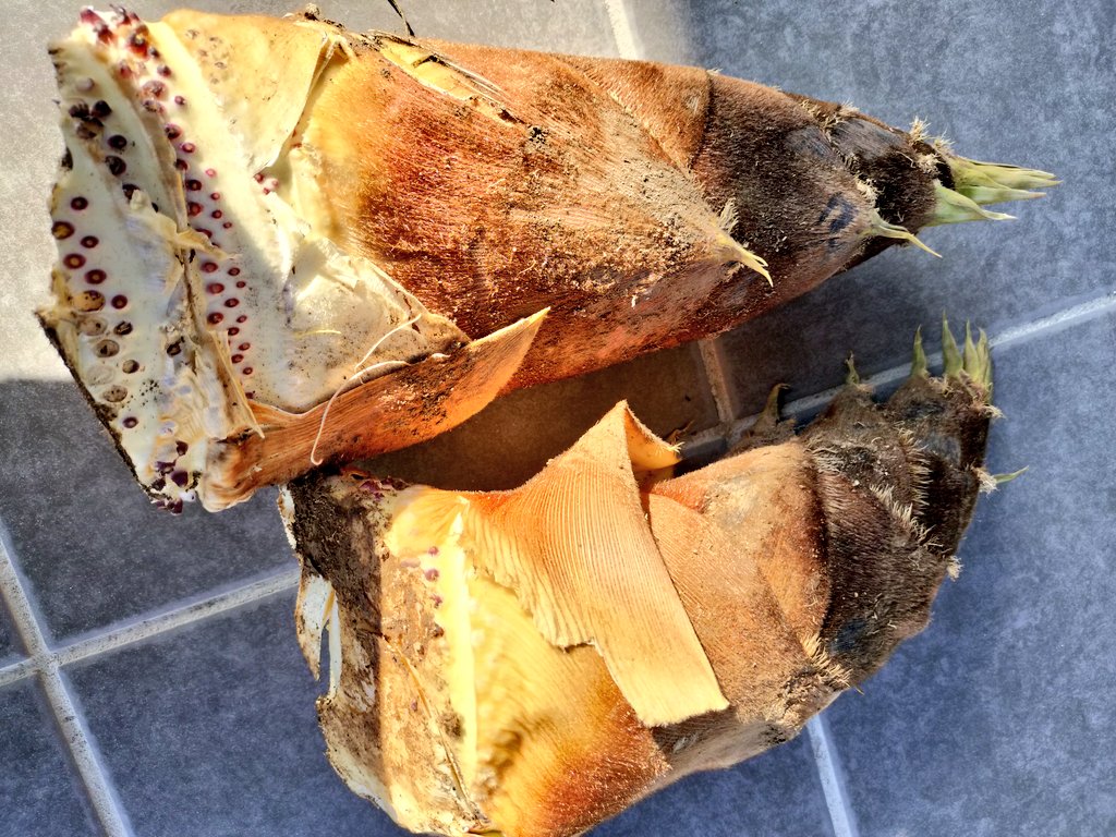 お華✾ tweet media