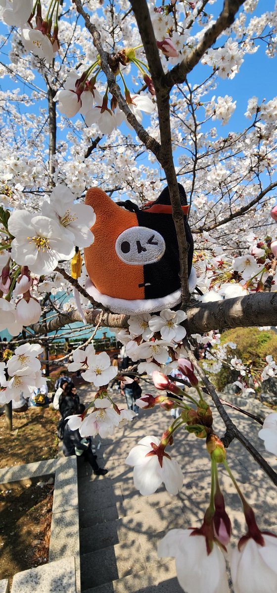 🍊🧡귤ส้ม🍊🧡 tweet media