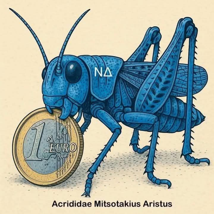 Frida Kah ☮️ tweet media