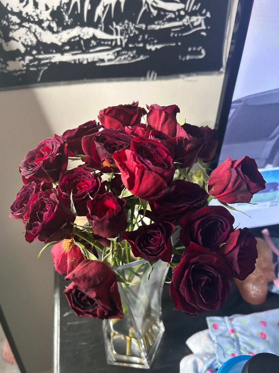 Lilydxt_more98's tweet photo. can't even with how pretty these are https://t.co/YoPBQGYzDx