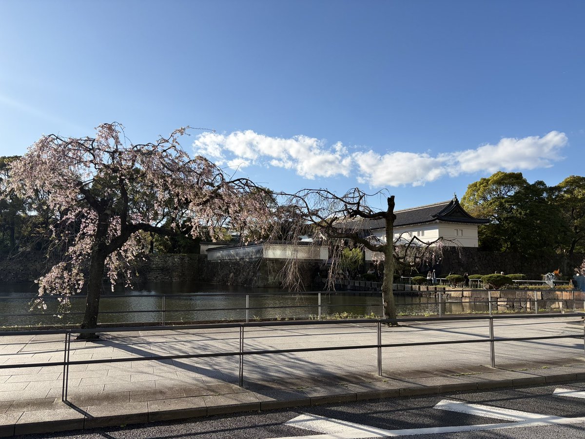 ゆーちゃん tweet media